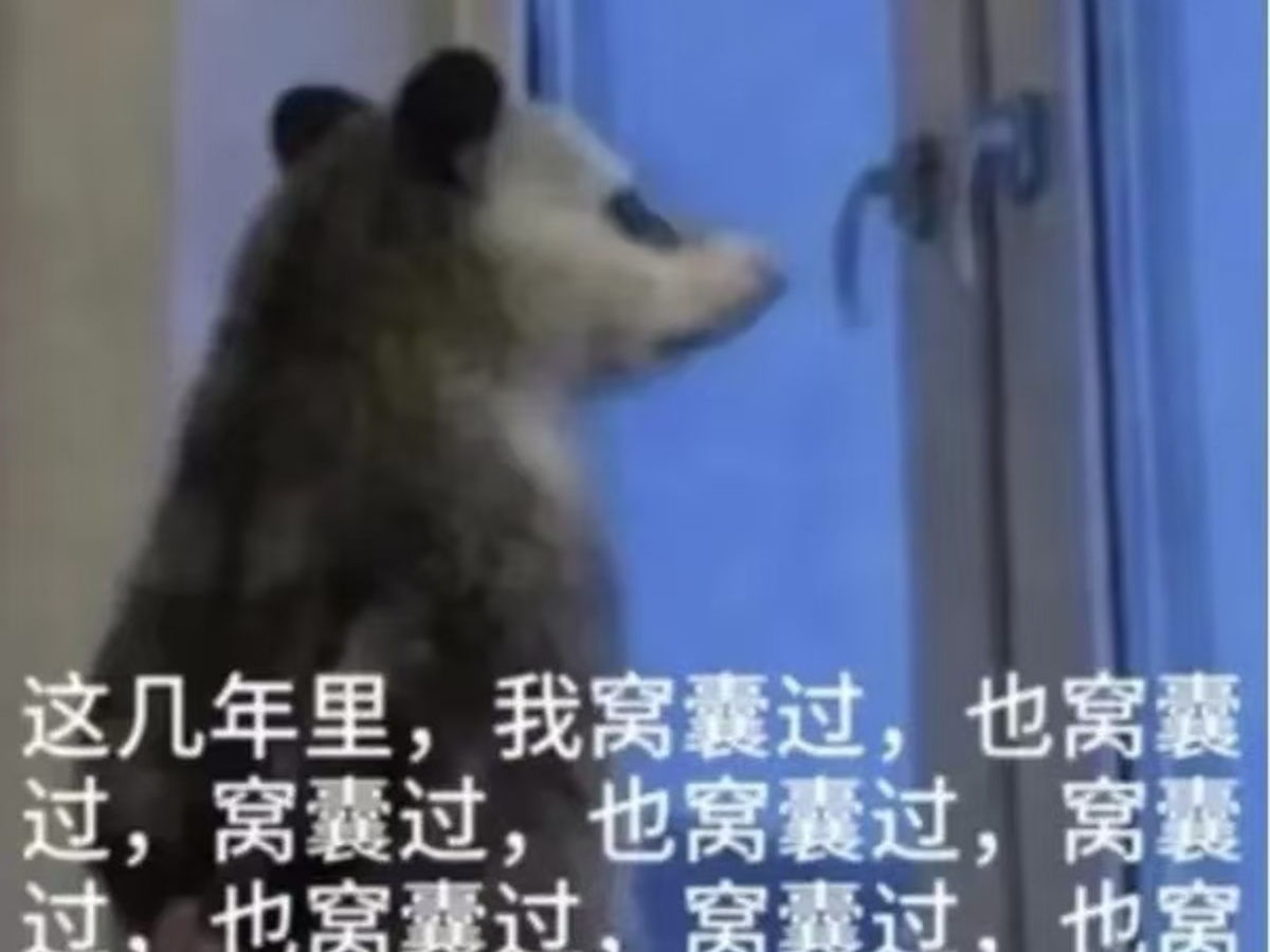 丢失的手表 截图